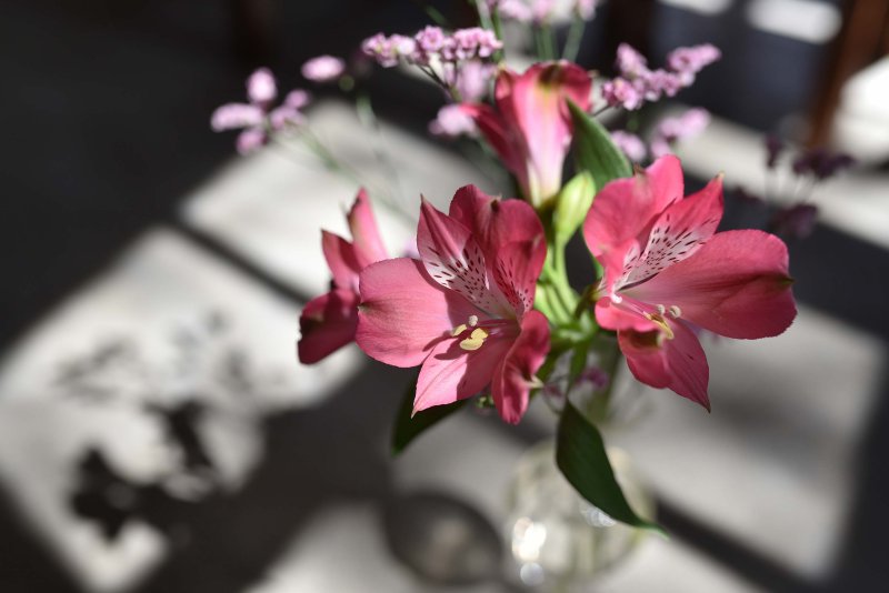 Fiore rosa in un vaso di vetro sul tavolo