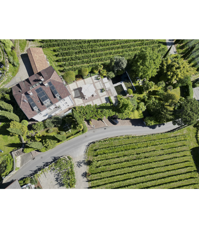 Haus mit Terrasse und Weinreben und Badeteich