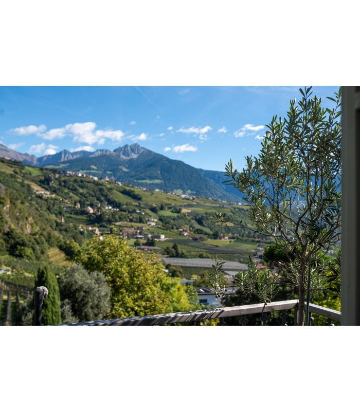 Blick auf Schloss Tirol und Berge
