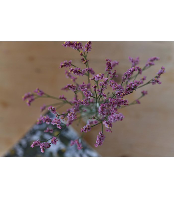 Zarte lilafarbene Blumen in einer Glasvase