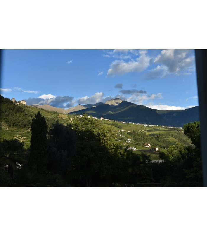 Hügelige Berglandschaft mit blauem Himmel und grünen Wiesen