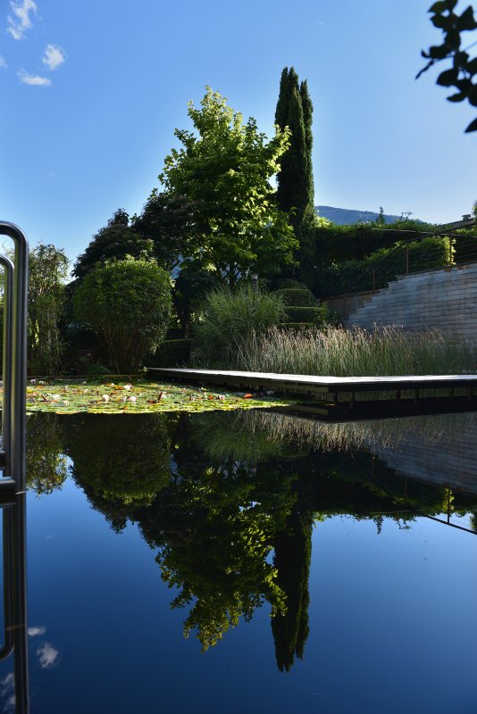 Gartenteich unter blauem Himmel, mit Spiegelung der Bäume im Wasser