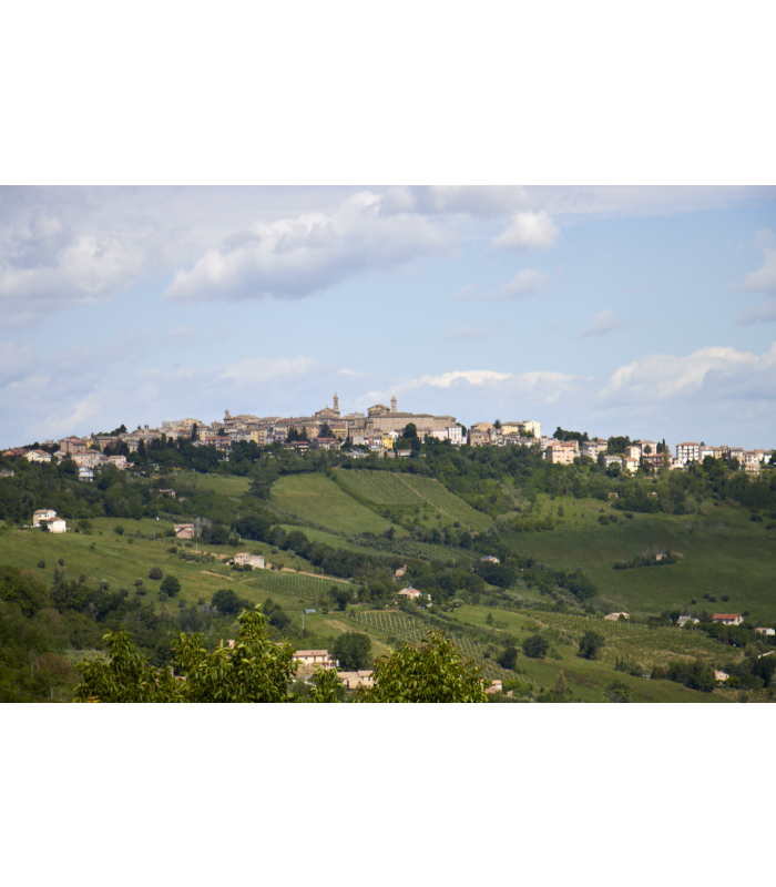 Dorf Cupramontana in der Region Marken