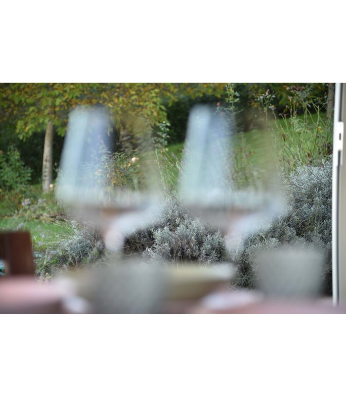 Unscharfe Weingläser im Vordergrund mit Blick auf einen grünen Garten