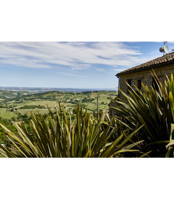 Das Refugium Veritas, sanft erhöht gelegen, eingebettet in ein Meer aus grünen Pflanzen
