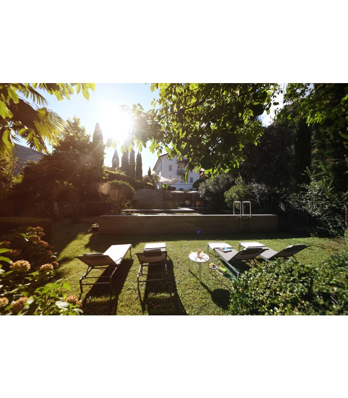 Sonniger Garten mit vier Liegestühlen umgeben von üppigem Grün