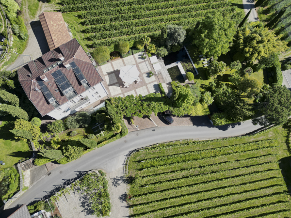 Haus mit Terrasse und Weinreben und Badeteich