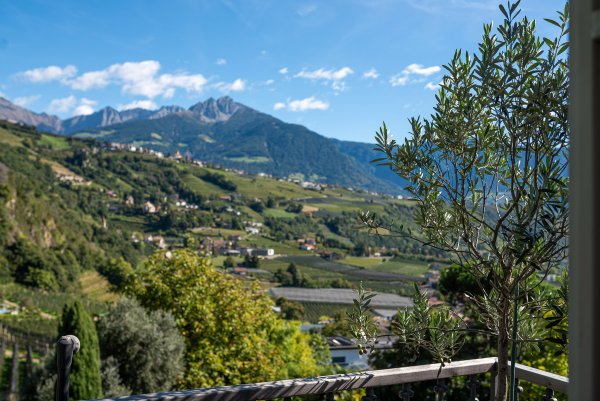 Blick auf Schloss Tirol und Berge
