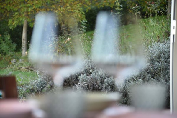 Unscharfe Weingläser im Vordergrund mit Blick auf einen grünen Garten