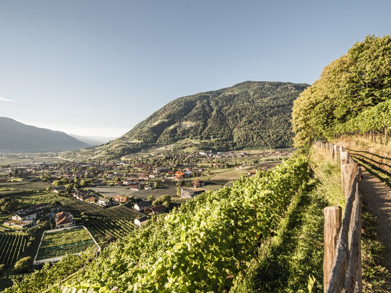 Waalweg Algund blauer Himmel und Sonne mit Blick auf Dorf