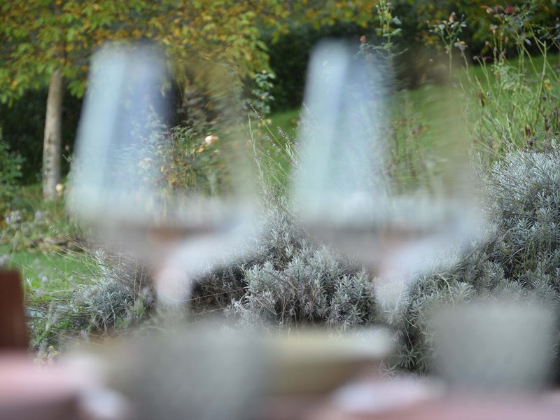 Blurred wine glasses in the foreground with a view of a green garden